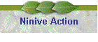 Ninive Action