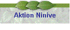Aktion Ninive